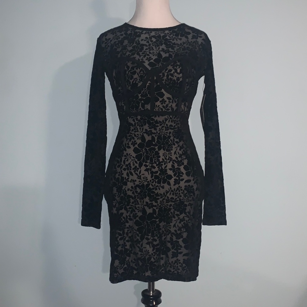 Lulus Sheer lace Corset cocktail dress!